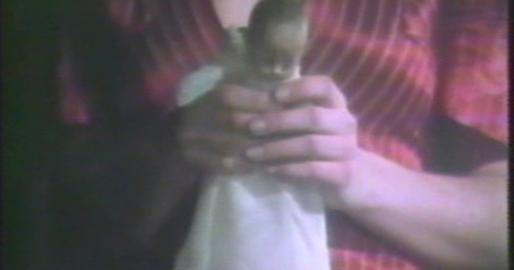 memories within miss aggie