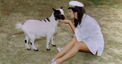 DVD Top Sensation Hard Sensations